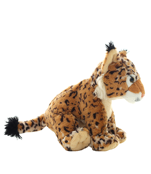 Bob the Big Cat 8 Inch