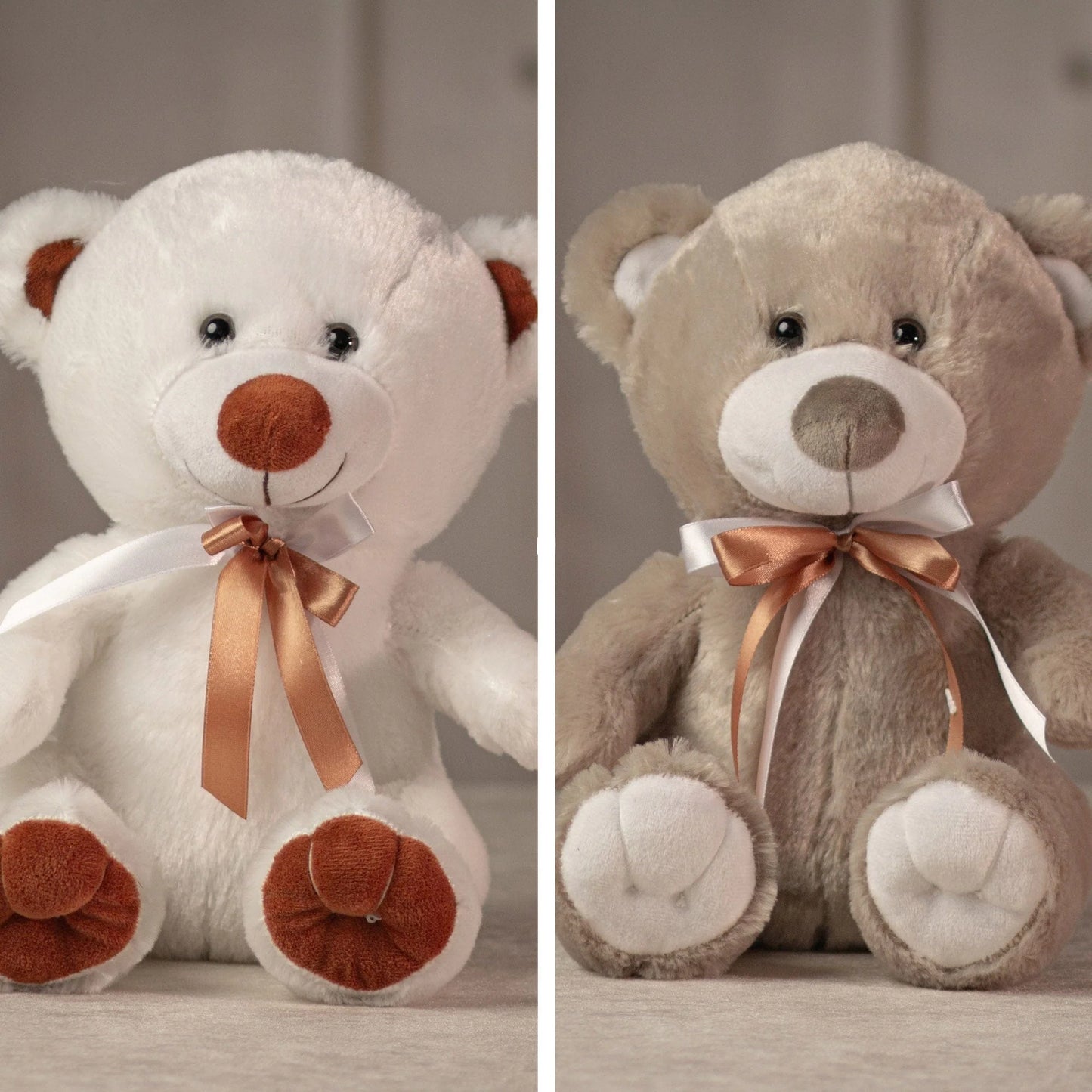 10 Inch Fun & Friendly Bear Pair – Cute Plush Teddy Gift for Kids & Love