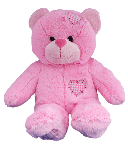 Pink Patches Bear 16 inch