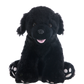 Shadow the Black Labrador 16 Inch