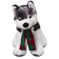 Klondike the Husky 16 Inch