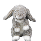 Forest the Happy Bunny 8 inch