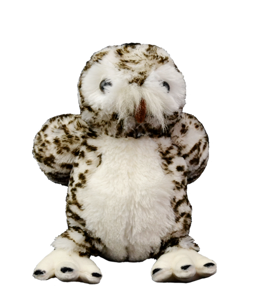 Wise the Owl 8 Inch