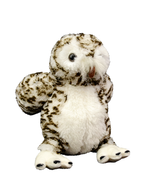 Wise the Owl 8 Inch