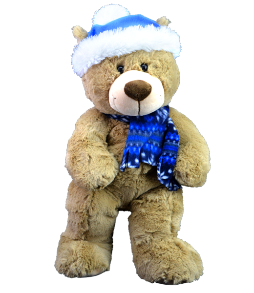 Toboggan the Teddy 16 inch