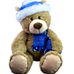 Toboggan the Teddy 16 inch