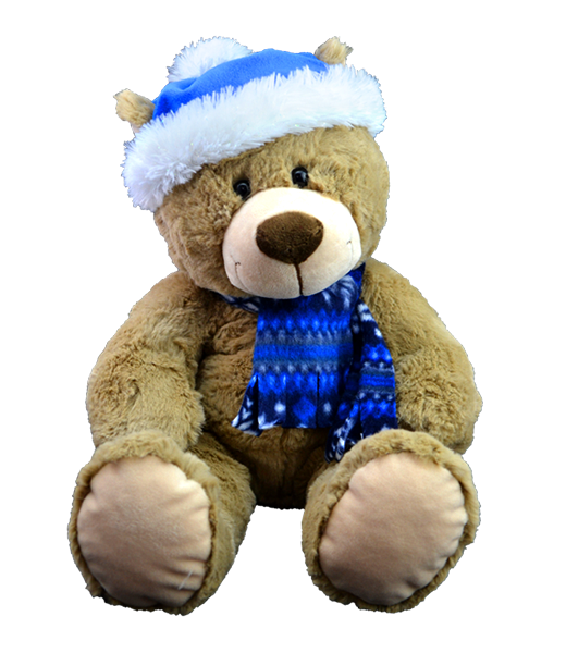 Toboggan the Teddy 16 inch