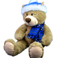 Toboggan the Teddy 16 inch