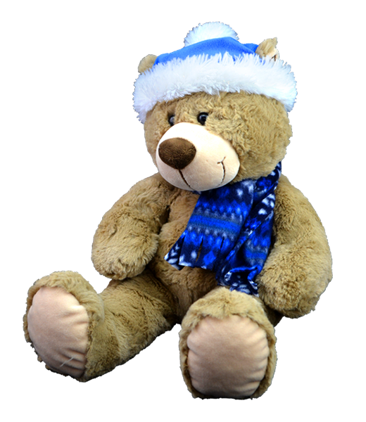 Toboggan the Teddy 16 inch