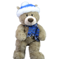 Toboggan the Teddy 8 inch