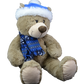 Toboggan the Teddy 8 inch