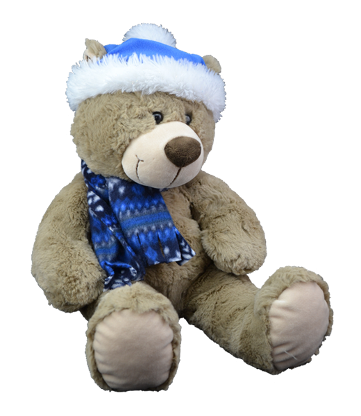 Toboggan the Teddy 8 inch