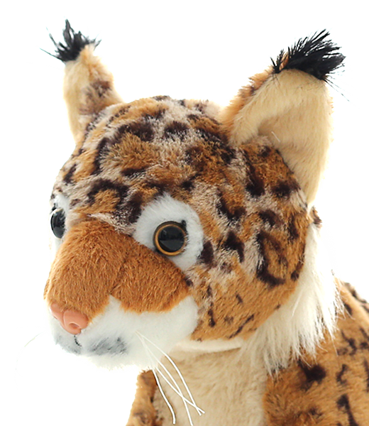 Bob the Big Cat 8 Inch