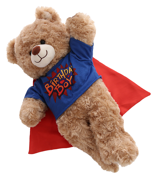 Birthday Hero Boy Tee 16 Inch