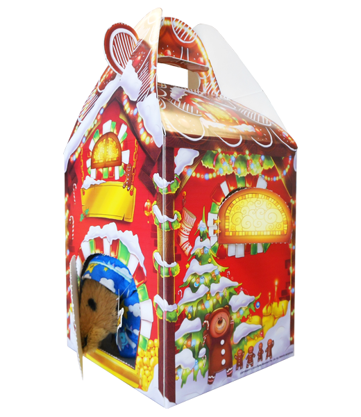 Carry Home Box Christmas 16 Inch For Toys