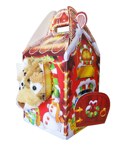 Carry Home Box Christmas 16 Inch For Toys