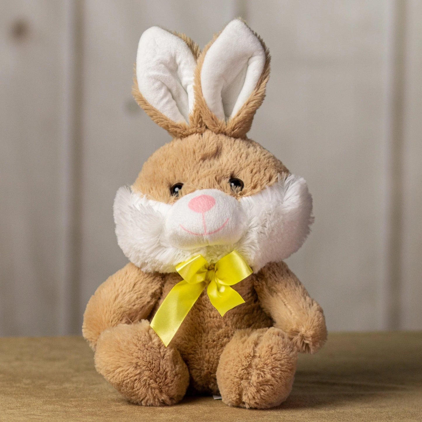 10 Inch Adorable Medium Rabbit Plush Toy – Stuffed Animal for Kids & Collectors