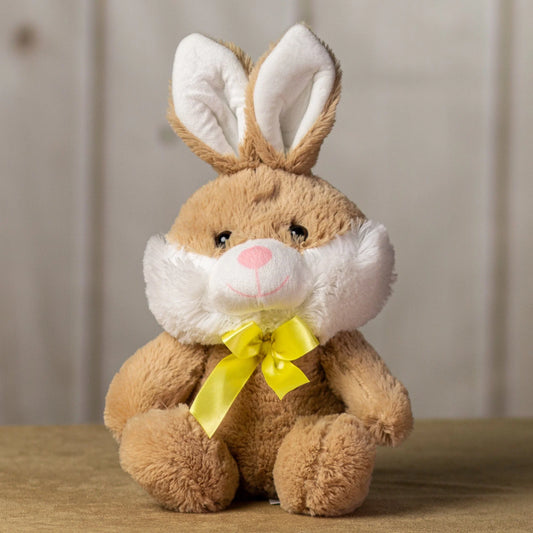 10 Inch Adorable Medium Rabbit Plush Toy – Stuffed Animal for Kids & Collectors