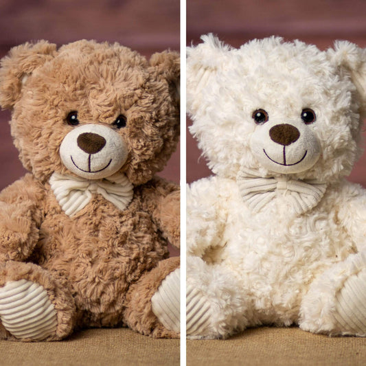 10 Inch Friendly Face Bear Pair – Cute Plush Teddy Set for Kids & Gifts