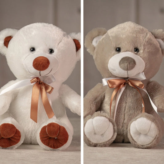 10 Inch Fun & Friendly Bear Pair – Cute Plush Teddy Gift for Kids & Love