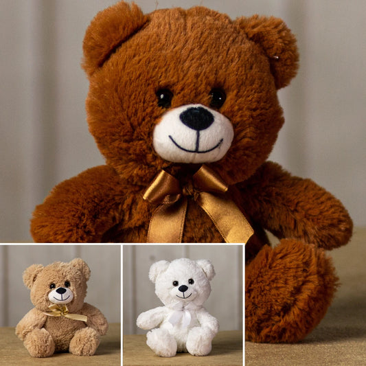 10 Inch Medium Basic Bear Set – Classic Plush Stuffed Animal Gift Pack