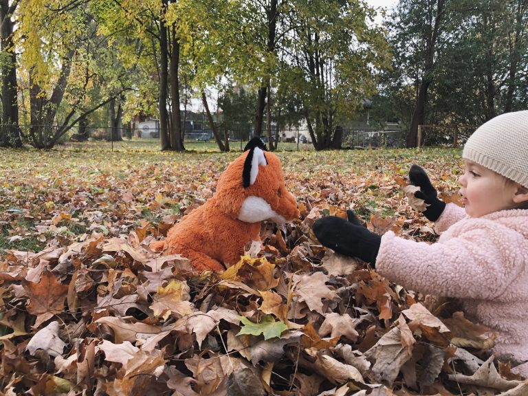 Finn the Fox (Eco) for 16 Inch Plush Toy – Eco-Friendly Stuffed Toy Companion