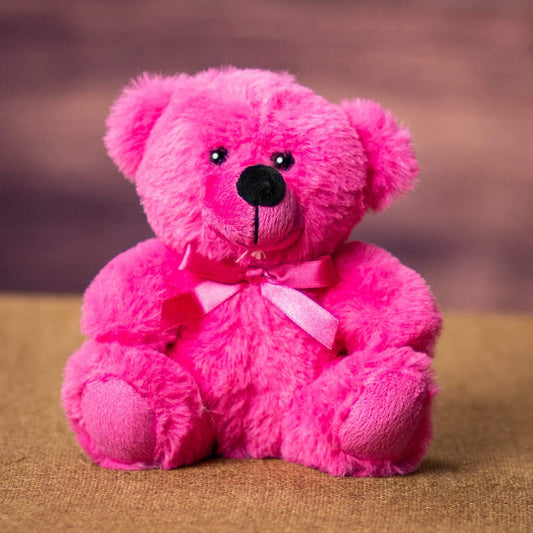 “Paradise Pink Colorama Bear Plush Toy 6 Inch – Soft Stuffed Animal”