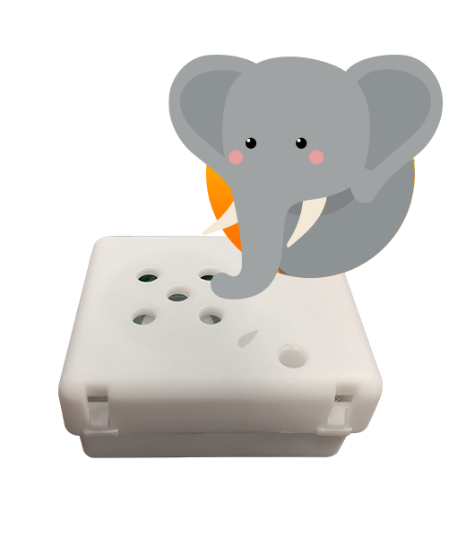 Elephant Sound