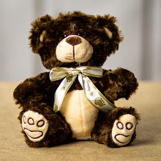 7 Inch Paw Print Party – Small Plush Bear Gift Set for Kids & Collectors