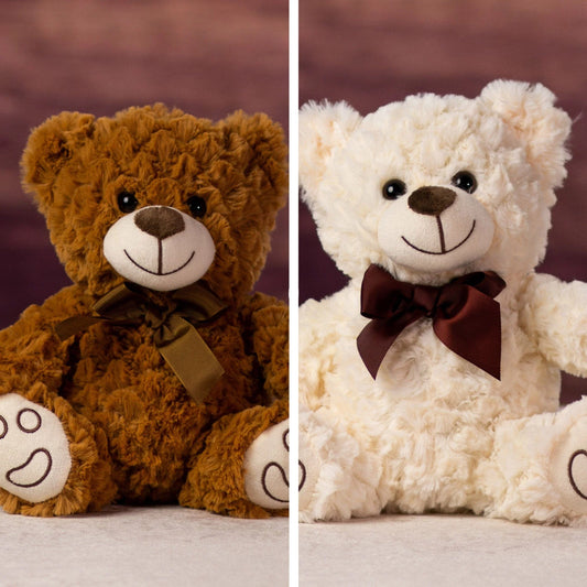 9 Inch Friendly & Furry Bear Pair – Cute Plush Teddy Set for Kids & Gifts