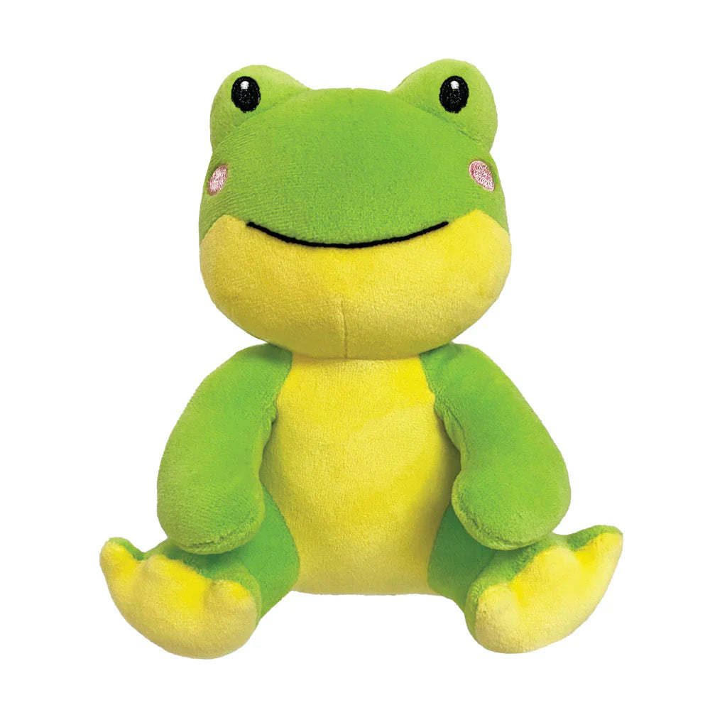 Pocket Huggables 6 Inch Frog Plush | Perfect for Ages 3