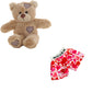 Brown Bear 8 Inch Plush with Love-Themed Boxers