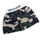 8 Inch Brown Bear Plush with Army Boxers – 16 Inch Size