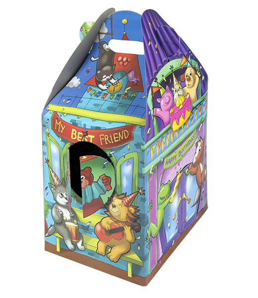 Carry Home Box Birthday for 16 Inch toys