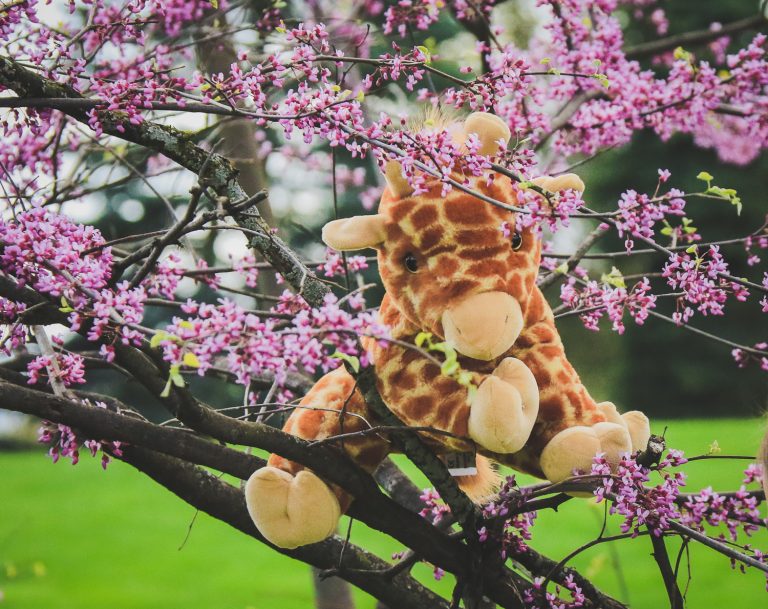 Close-up of plush giraffe featuring realistic spots and embroidered details.
