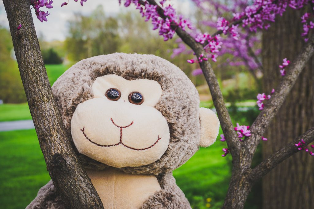 Soft Stuffed Monkey for Kids