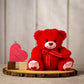 8.5 Inch Red Valentine Bear – Valentine's Day Teddy