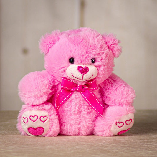 8.5 Inch Pink Valentine Bear - Adorable Gift