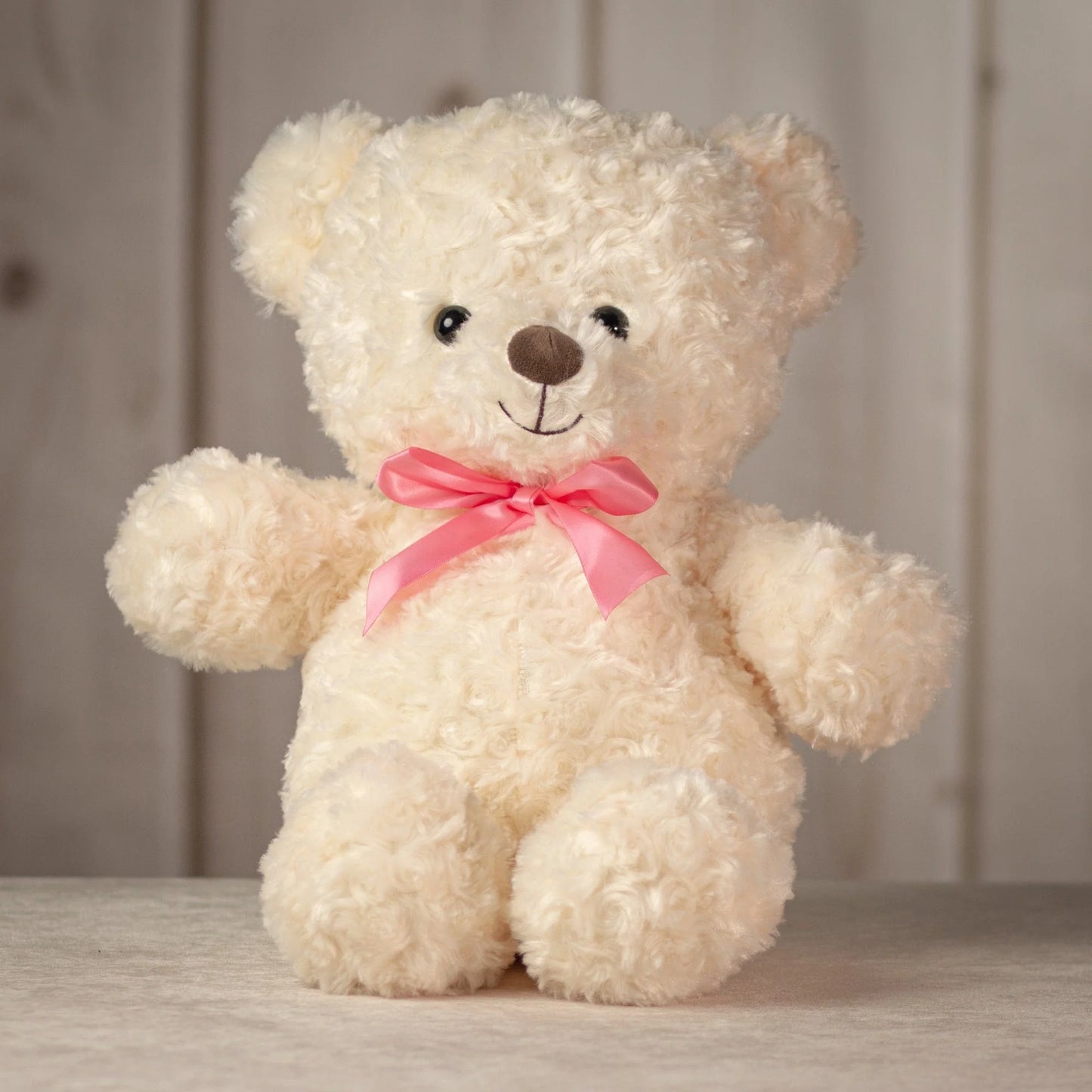 20 Inch Valentine Bear  – Cute Plush Bears