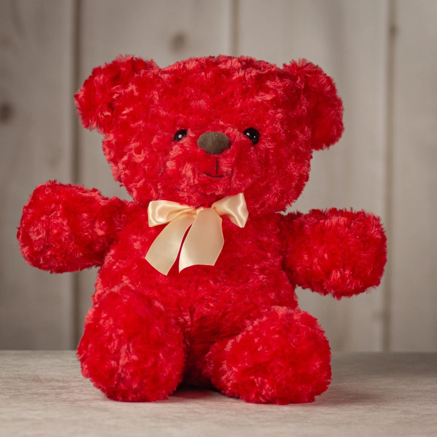 20 Inch Valentine Bear  – Cute Plush Bears