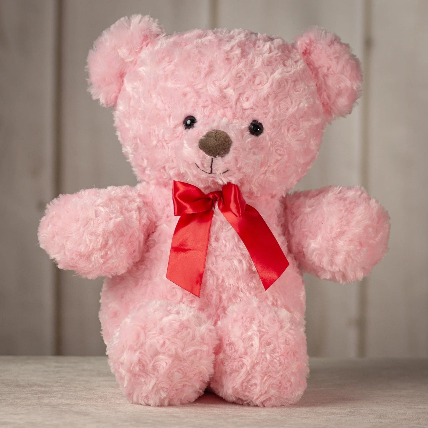 20 Inch Valentine Bear  – Cute Plush Bears