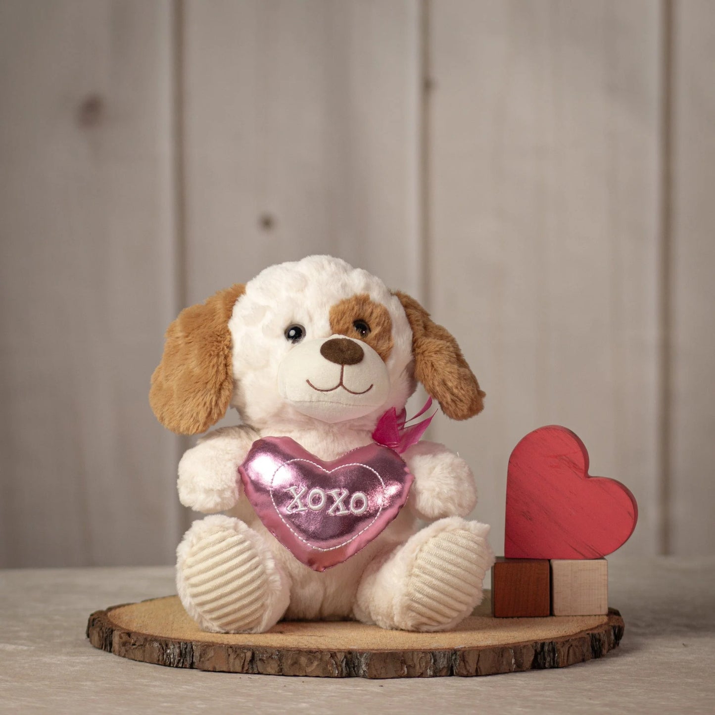 10 Inch Paws & Hugs Valentine: Adorable Gift for Valentine's Day