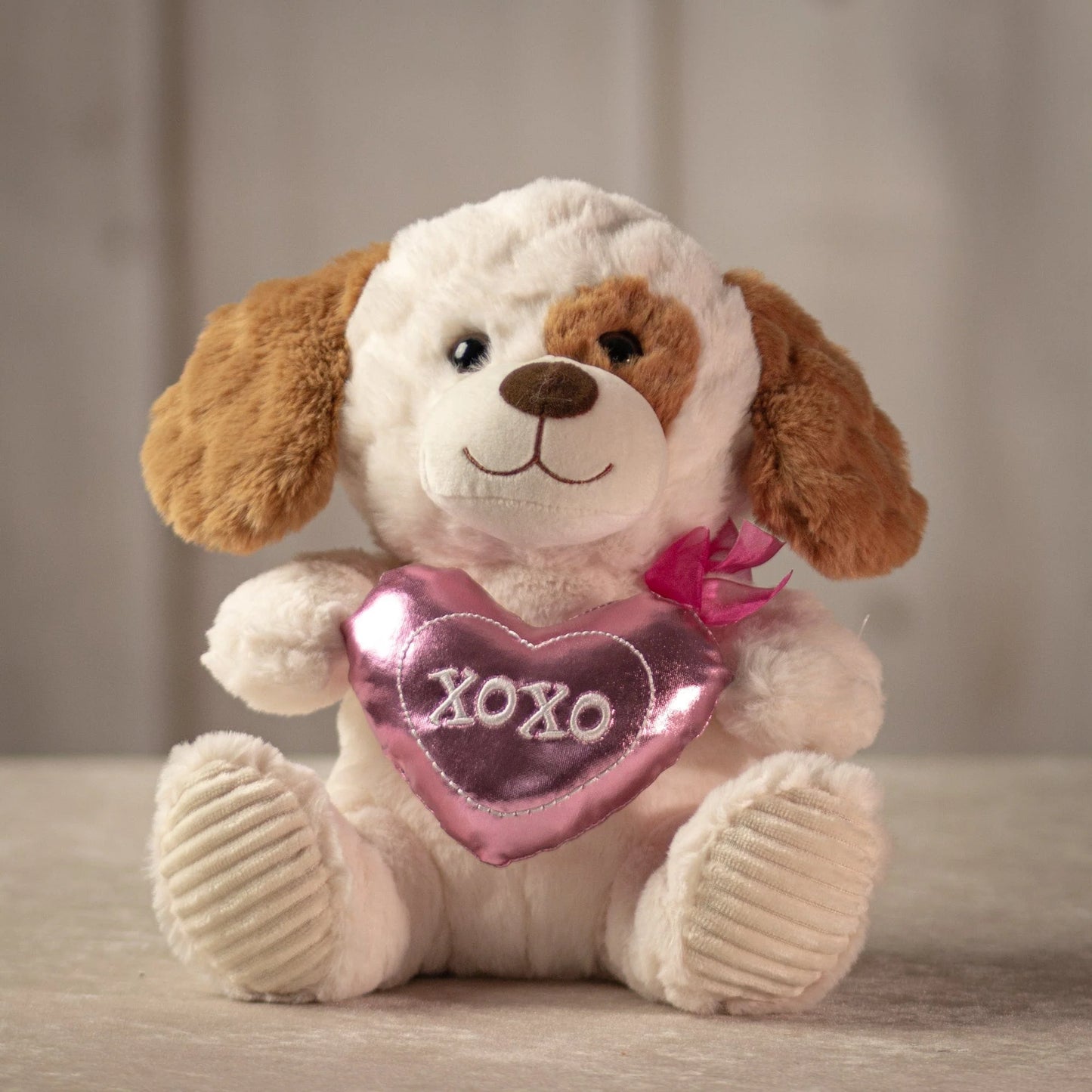 10 Inch Paws & Hugs Valentine: Adorable Gift for Valentine's Day