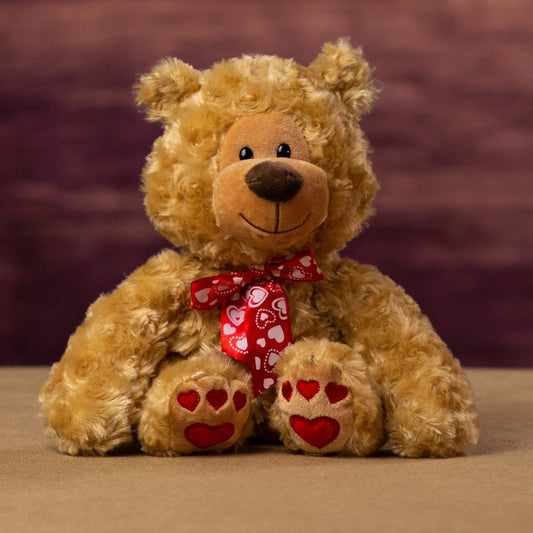 8 Inch Paw Print Heart Bear - Cute Teddy Gift