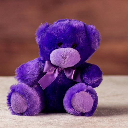 6 Inch Purple Bright & Cheery Bears – Cute Plush Toys