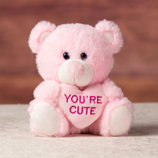 5.5 Inch Conversation Heart Bear – Plush Valentine’s Day Gift